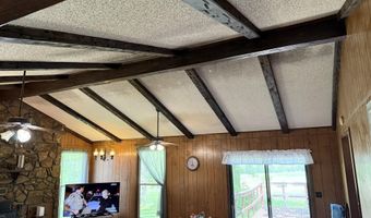 13776 E 56 Hwy, Ash Flat, AR 72513