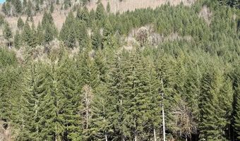Logsden Rd, Blodgett, OR 97326