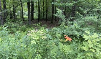 956 N Barnstead Rd, Barnstead, NH 03225