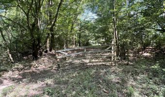 Hummingbird Lane, Ponce De Leon, FL 32455