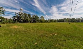 60222 N BELL Rd, Amite, LA 70422
