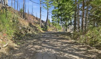 53189 MCKENZIE Hwy, Blue River, OR 97413