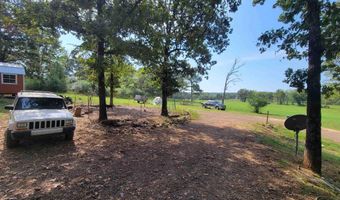 115 Billy Gray Rd W, Atkins, AR 72823