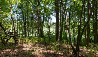 28 Mile Rd, Albion, MI 49224