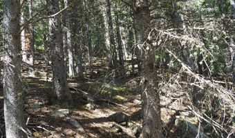 0 Gamble Gulch, Black Hawk, CO 80422