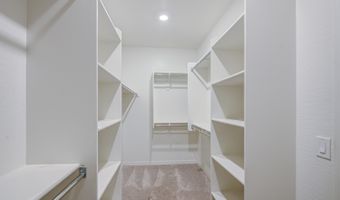 279 E MARKWOOD Dr, Chandler, AZ 85286