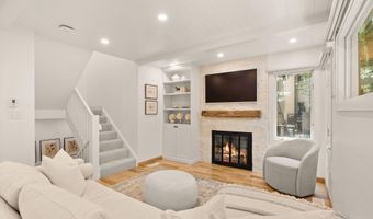 814 W Bleeker St B2, Aspen, CO 81611