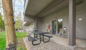 187 N Fuller Placer Road F, Breckenridge, CO 80424