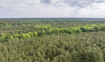 5750 Cobbham Road Lot Tract D, Appling, GA 30802