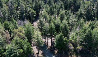 47613 Oregon Coast Hwy 1401, Bandon, OR 97411