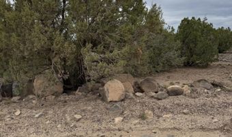 55 ACR 8050 14, Concho, AZ 85924