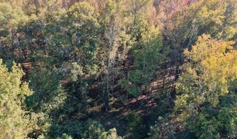 TBD Binnicker Bridge Road, Bamberg, SC 29003