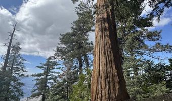 636 Mountain Center 35-0002, Mountain Center, CA 92561
