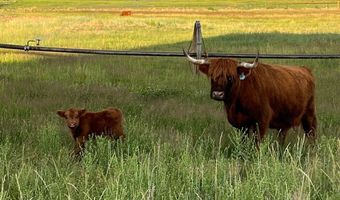 1745 N 11000 W, Altamont, UT 84001