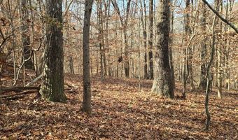 00001 Hwy 369, Ball Ground, GA 30107