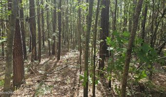 17 17a Oregon Ln, Aurora, NC 27806