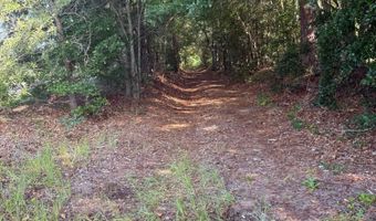 0 Huckleberry Finn Rd, Batesburg Leesville, SC 29006