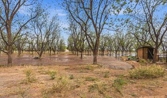 617 WALLACE Rd, Anthony, NM 88021