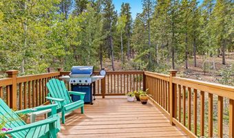 798 S Dory Lakes Dr, Black Hawk, CO 80422