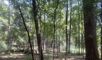 0 Christi Smith Rd, Andalusia, AL 36421