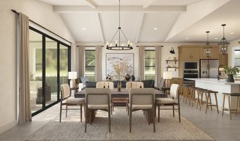 Ocotillo Rd & Mcqueen Rd Plan: Reine, Chandler, AZ 85249