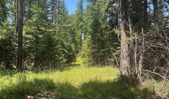 13643 Sundance Trl, Bigfork, MT 59911