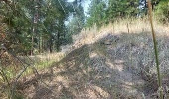 40 Acres Off 36N06, Adin, CA 96006