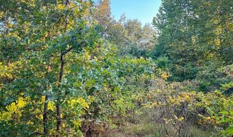 Tbd Highway 3, Antlers, OK 74523