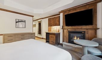 415 E Dean St. Unit 10 Week 30, Aspen, CO 81611