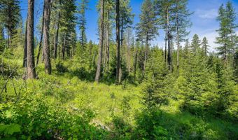 173 Timberjack Trl, Bigfork, MT 59911