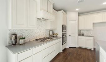 2001 Amber Gate Dr, Anna, TX 75409