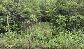 49 Bayside Blvd, Bean Station, TN 37708