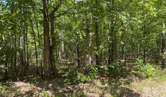 0 County Road 4507, De Kalb, TX 75559