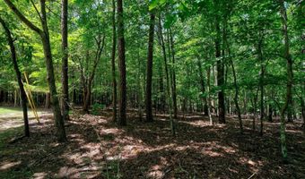 114 Garris McCabe, Blythewood, SC 29016