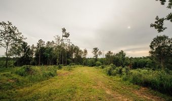 447 County Road 215, Abbeville, MS 38601