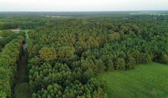 120 Little River 180, Ashdown, AR 71822