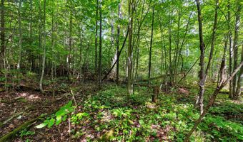 Double Bend Road, Argonne, WI 54511