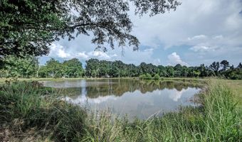 1229 Holly Bush Rd, Brandon, MS 39047