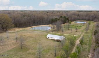 1144 Little Big Mound Rd, Bentonia, MS 39040