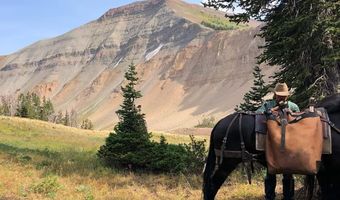 807 MERNA N BEAVER Rd, Daniel, WY 83115