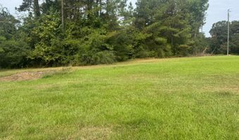149 Star Braxton Rd, Braxton, MS 39044