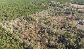 4065 Gordon Rd, Abbeville, GA 31001