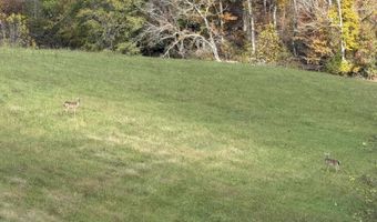 0 Lettered Oak Rd, Albany, KY 42602