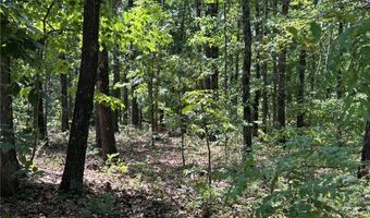 Cranbrook Lane lot 21, Bella Vista, AR 72714