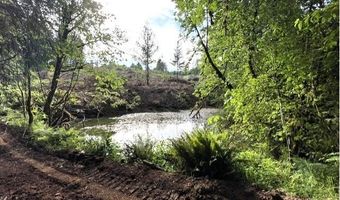 NW LODGE Rd, Banks, OR 97106