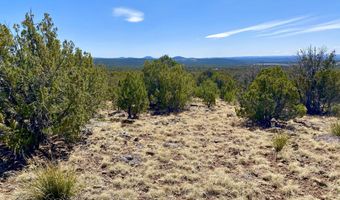 74 County Road 8056, Concho, AZ 85924