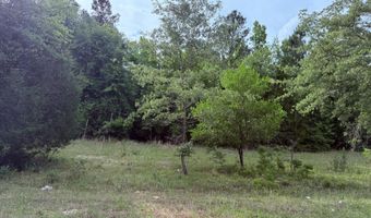 5827 Reynolds Rd, Blackville, SC 29817