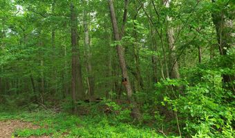 4100 ABBEY ROAD Lot 26-50, Adamsville, AL 35005