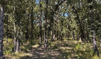Lot 19 Saddle Creek Ct, Alba, TX 75410