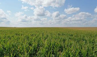 Marsh Avenue, Allison, IA 50602